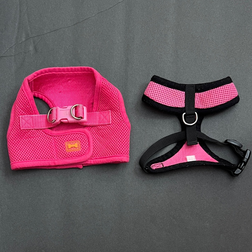 Vibrant Pink and Black Dog Harness Set